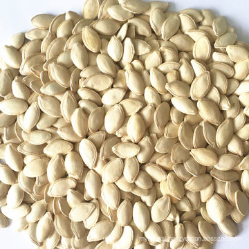 Wholesale Chinese pumpkin seeds